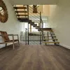Panele winylowe 53870 IVC Divino Click Panele winylowe 53870 IVC Divino Click