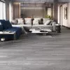 Panele laminowane PM-55B VarioClic Varioclic Premium Medium
