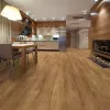 Panele laminowane 54708 Classen Discovery 4V WR