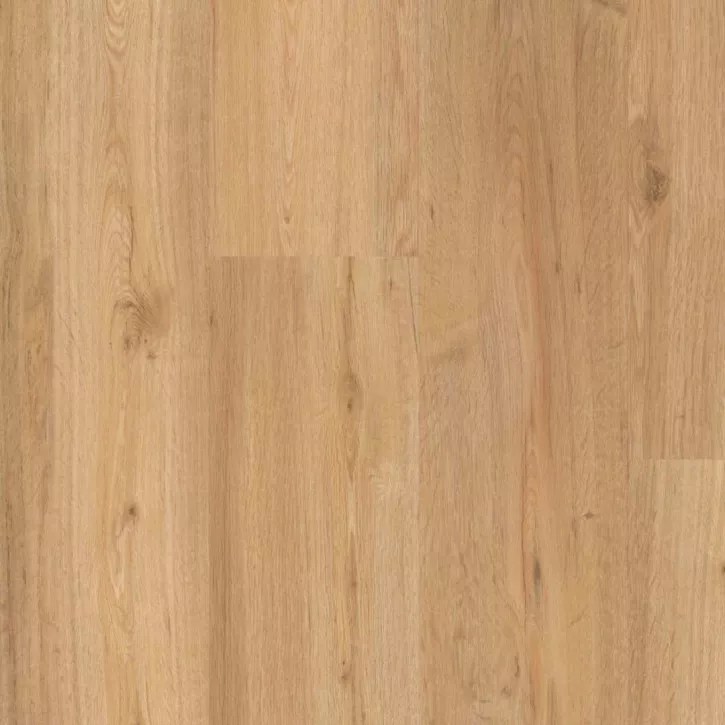 Panele winylowe 1649299 Parador Basic 30 Panele winylowe 1649299 Parador Basic 30