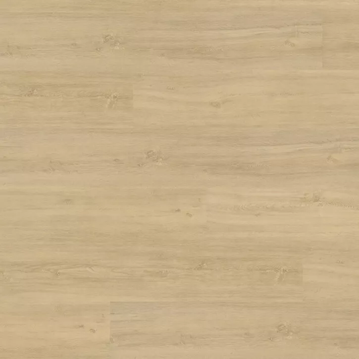 Panele winylowe MLD00125 Wineo Vinil 400 Wood XL Panele winylowe MLD00125 Wineo Vinil 400 Wood XL