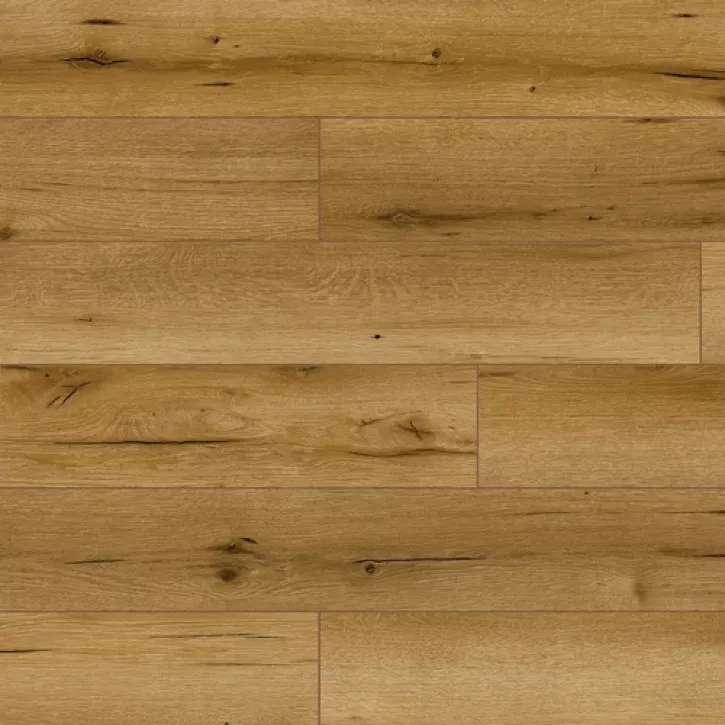 Panele laminowane 53685 Classen