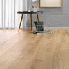 Panele laminowane 529 Alsafloor Solid Plus