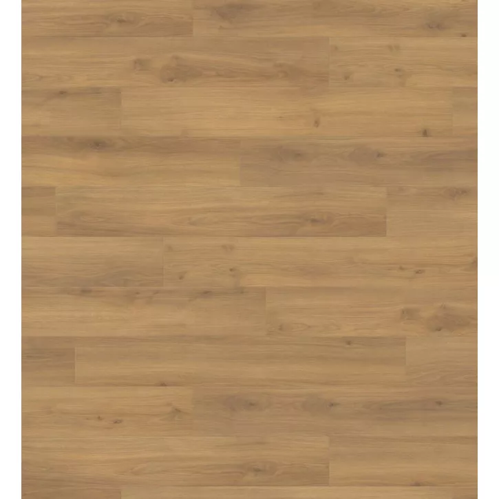 Panele laminowane 538692 Haro Tritty 100 Panele laminowane 538692 Haro Tritty 100