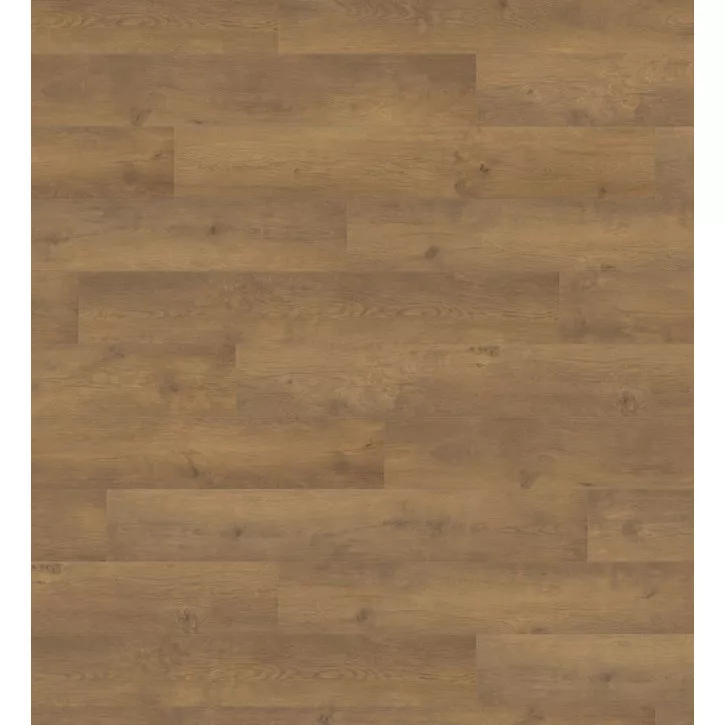 Panele laminowane 538693 Haro Tritty 100 Panele laminowane 538693 Haro Tritty 100