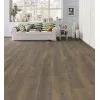 Panele laminowane 538749 Haro Tritty 100 Campus 4V Panele laminowane 538749 Haro Tritty 100 Campus 4V