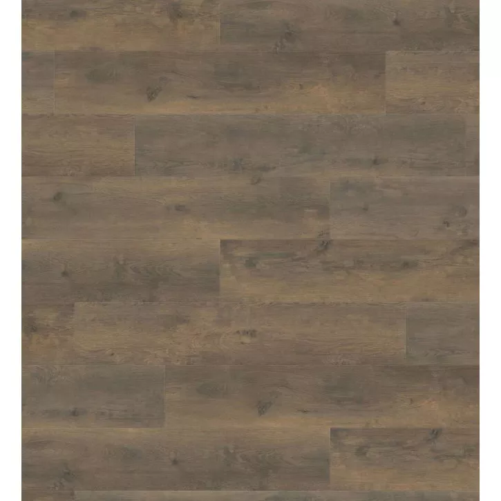 Panele laminowane 538749 Haro Tritty 100 Campus 4V Panele laminowane 538749 Haro Tritty 100 Campus 4V