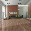 Panele laminowane 26382 Classen Natural Prestige Panele laminowane 26382 Classen Natural Prestige