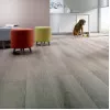 Panele laminowane 437 Alsafloor Harmonie V4 Panele laminowane 437 Alsafloor Harmonie V4