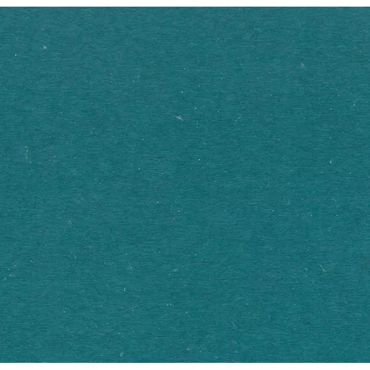 Panele winylowe C68040 Forbo Allura Colour