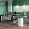 Panele laminowane 4981 Kronotex Exquisit Plus Panele laminowane 4981 Kronotex Exquisit Plus