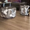 Panele laminowane 3668 Kronotex Amazone
