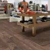 Panele laminowane 4766 Kronotex Amazone