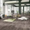 Panele laminowane 60 Swiss Krono Lake View