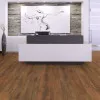 Panele laminowane 3342 Swiss Krono Aurum Sound Panele laminowane 3342 Swiss Krono Aurum Sound