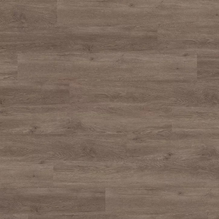 Panele winylowe 2044 Ter Hurne Vinil Straight Choice