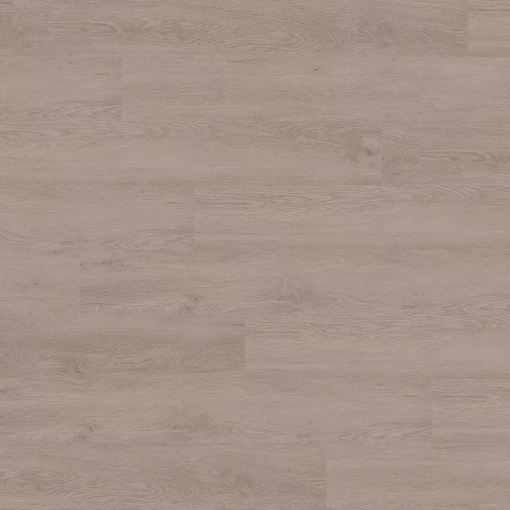 Panele winylowe 2071 Ter Hurne Vinil Straight Choice