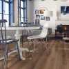 Panele laminowane 9117 Kronopol Delta Panele laminowane 9117 Kronopol Delta