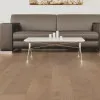Panele laminowane 8097 EuroHome Panele laminowane 8097 EuroHome