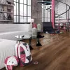 Panele laminowane 5381 Kronopol Sigma Panele laminowane 5381 Kronopol Sigma