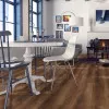 Panele laminowane 5381 Kronopol Sigma Panele laminowane 5381 Kronopol Sigma