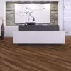 Panele laminowane 5381 Kronopol Sigma Panele laminowane 5381 Kronopol Sigma
