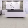 Panele laminowane 3487 Kronopol Senso