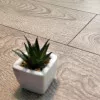 Panele laminowane 60624 Vitality Vitality Deluxe 4V Panele laminowane 60624 Vitality Vitality Deluxe 4V