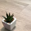 Panele laminowane 60796 Vitality Vitality Deluxe 4V Panele laminowane 60796 Vitality Vitality Deluxe 4V