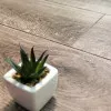 Panele laminowane 60909 Vitality Vitality Deluxe 4V Panele laminowane 60909 Vitality Vitality Deluxe 4V