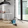 Panele laminowane 1593813 Parador Basic 400