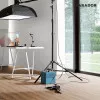 Panele laminowane 1593814 Parador Basic 400