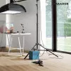 Panele laminowane 1593797 Parador Basic 400 V4