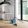Panele laminowane 1593853 Parador Basic 600 V4 Panele laminowane 1593853 Parador Basic 600 V4