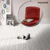 Panele laminowane 1254992 Parador Edition 1 Panele laminowane 1254992 Parador Edition 1