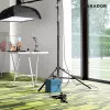 Panele laminowane 1254998 Parador Edition 1 Panele laminowane 1254998 Parador Edition 1