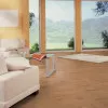 Panele laminowane 4152 Kronotex Mammut