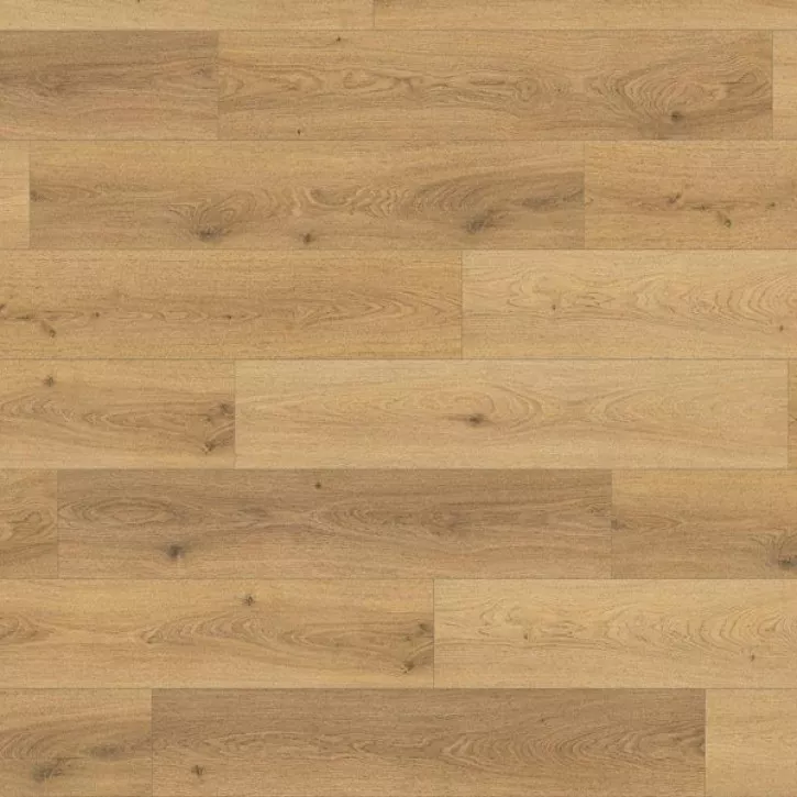 Panele laminowane OR530 Star Collection Orion