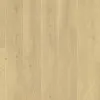 Panele laminowane L0263-06794 Pergo Odense Pro Dąb zachmurzony