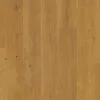 Panele laminowane L0263-06797 Pergo Odense Pro Dąb zmierzch