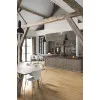 Panele winylowe AVSPT40039 Quick-Step Blos base Dąb Canyon naturalny Panele winylowe AVSPT40039 Quick-Step Blos base Dąb Canyon naturalny